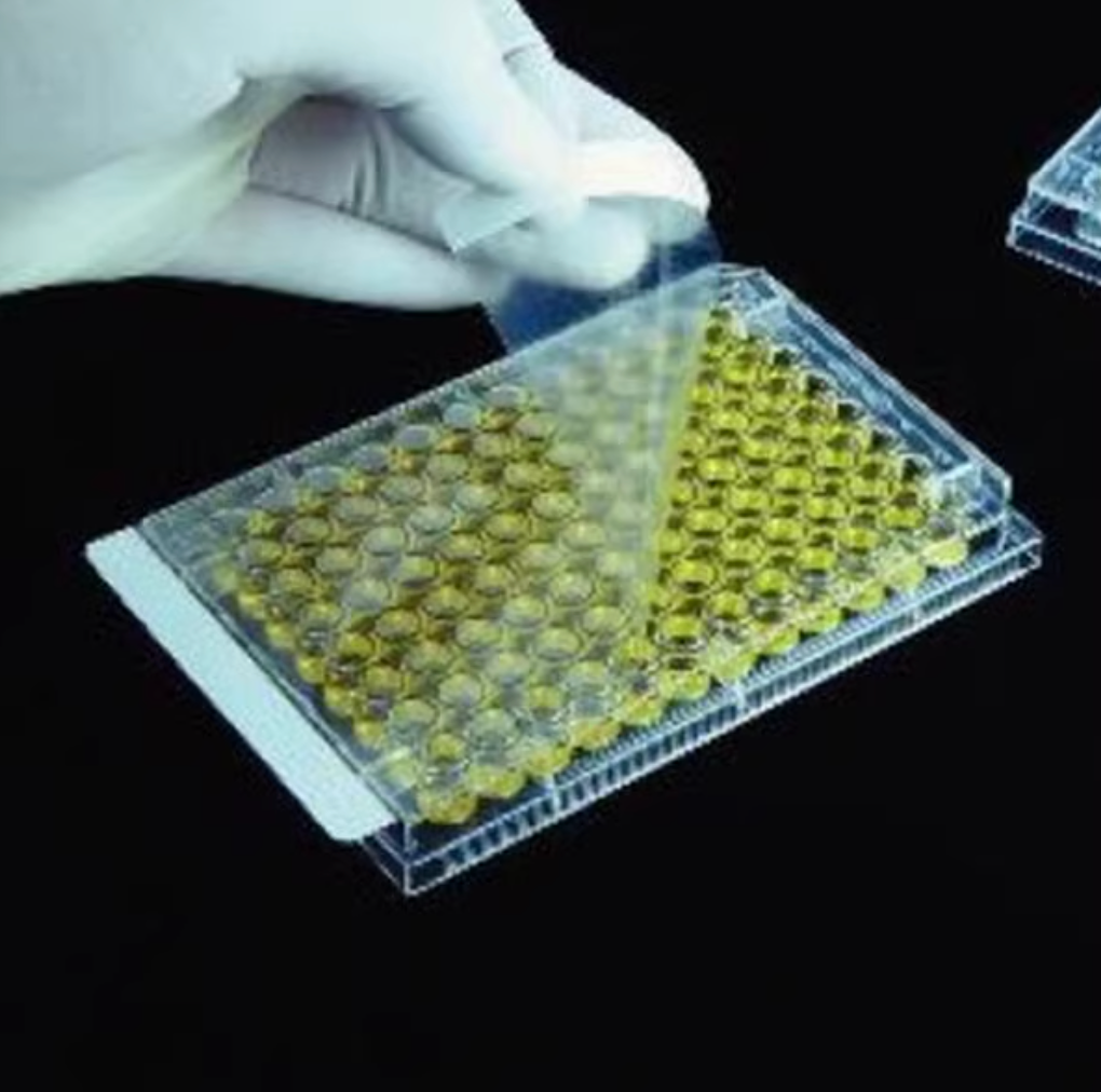 PCR plate sealing film 100/Cs